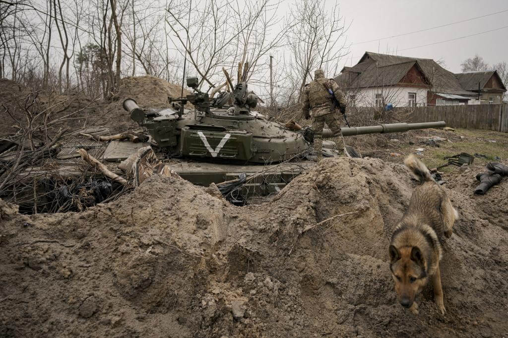 perro escapando de guerra en ucrania