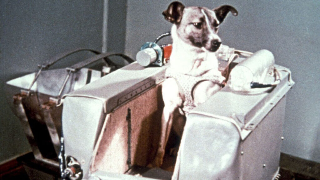 Laika, la perra astronauta. Su tragica historia.